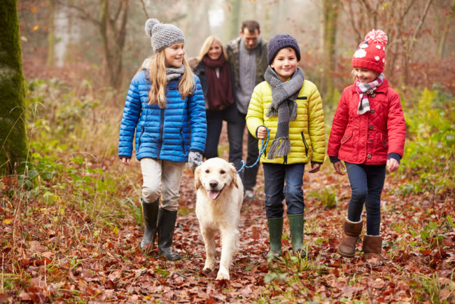 Family in woods