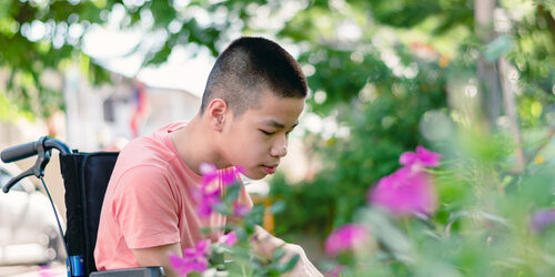 shutterstock_1772853623