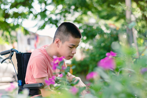 shutterstock_1772853623