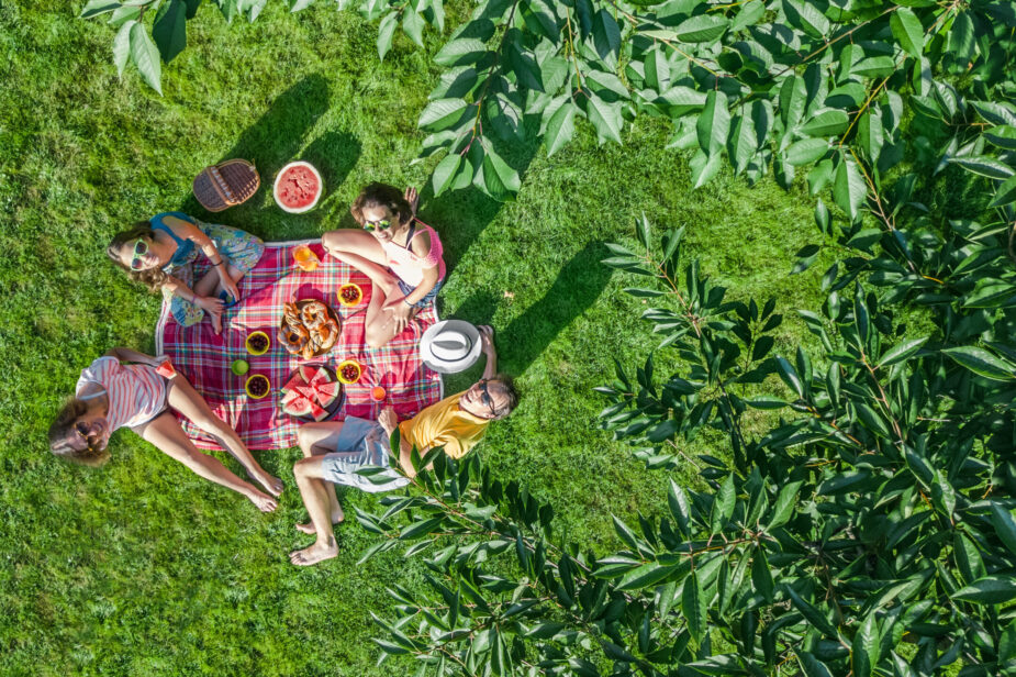 Happy,Family,With,Children,Having,Picnic,In,Park,,Parents,With